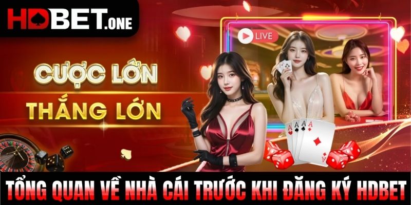 Tổng quan về nhà cái trước khi đăng ký HDBET