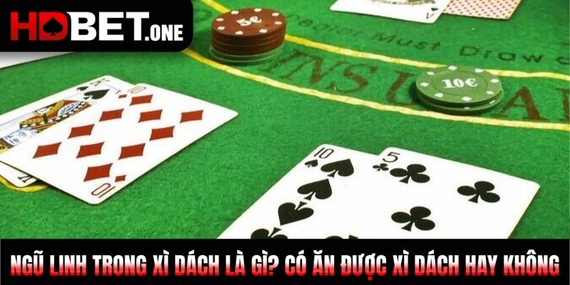 Ngũ Linh Trong Xì Dách Là Gì? Có Ăn Được Xì Dách Không?