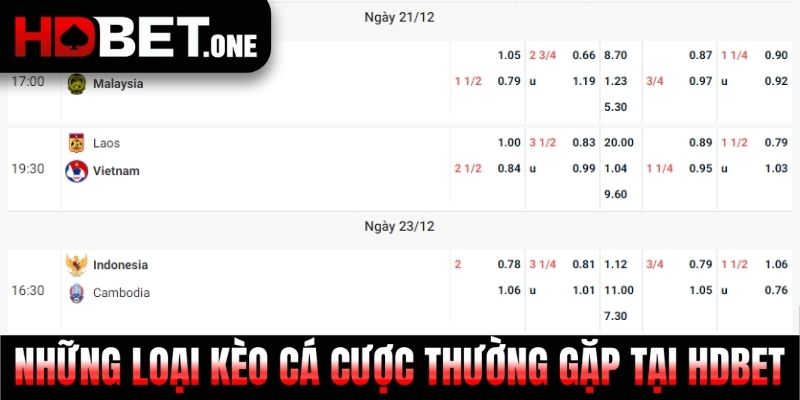 Những loại kèo cá cược thường gặp tại HDBET