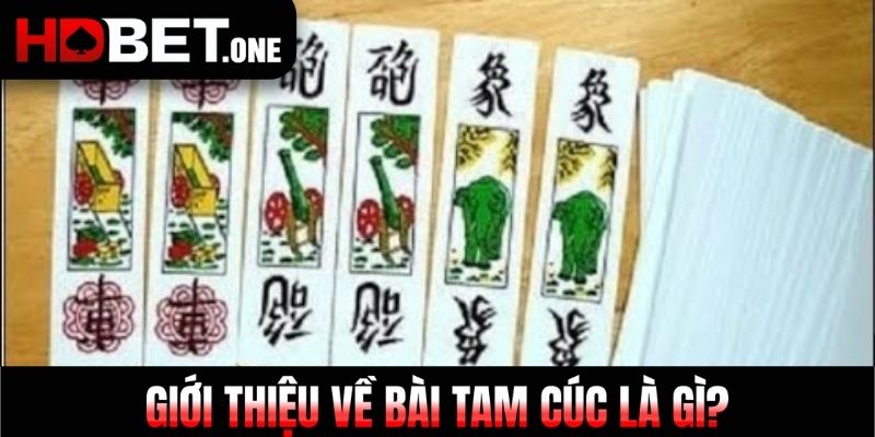 Giới thiệu về bài tam cúc là gì?