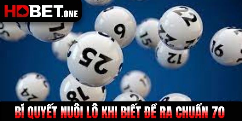 Bí quyết nuôi lô khi biết đề ra chuẩn 70