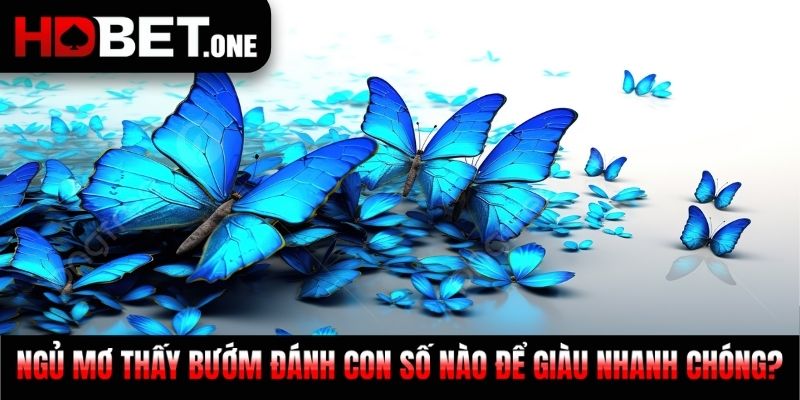 Ngủ mơ thấy bướm đánh con số nào để giàu nhanh chóng?