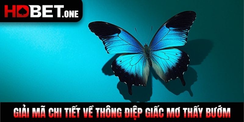 Giải mã chi tiết về thông điệp giấc mơ thấy bướm