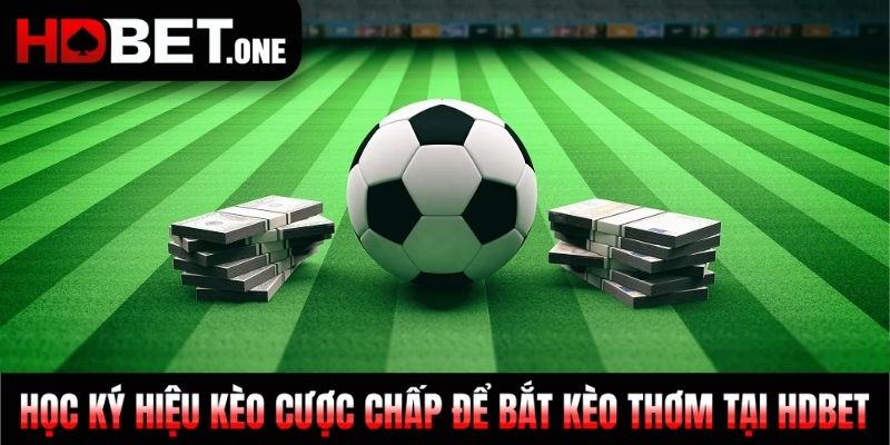 Học ký hiệu kèo cược chấp để bắt kèo thơm tại HDBET