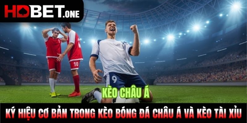 Ký hiệu cơ bản trong kèo bóng đá Châu Á và kèo Tài xỉu