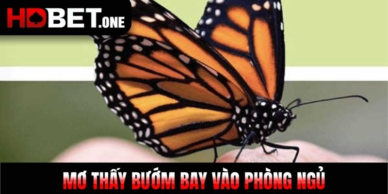 Mơ thấy bướm bay vào phòng ngủ