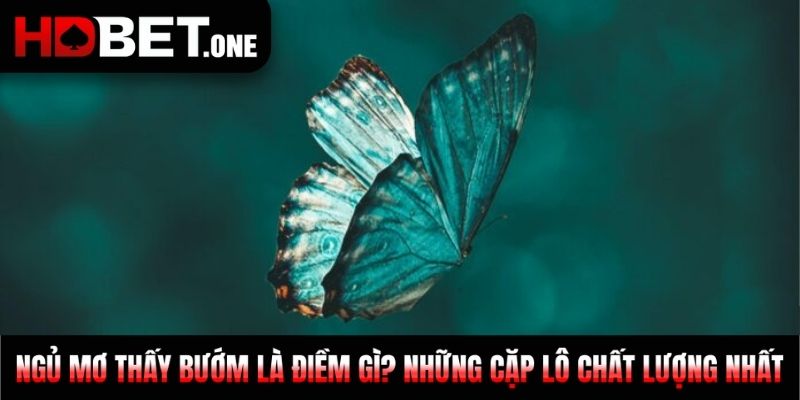 Ngủ Mơ Thấy Bướm Là Điềm Gì? Những Cặp Lô Chất Lượng