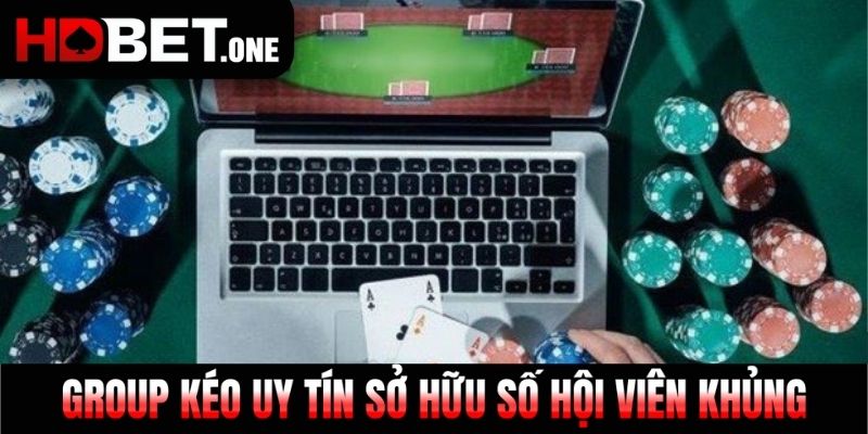 Group kéo uy tín sở hữu số hội viên khủng