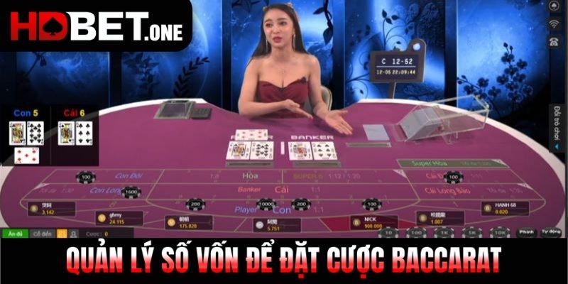 Quản lý số vốn để đặt cược Baccarat