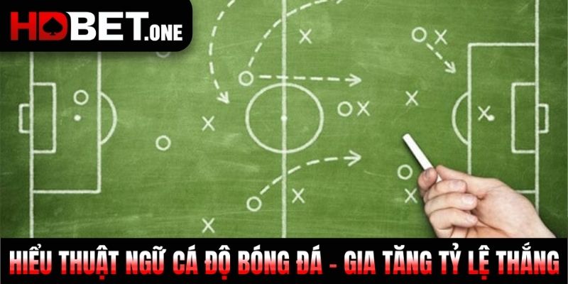 Hiểu Thuật Ngữ Cá Độ Bóng Đá - Gia Tăng Tỷ Lệ Thắng 100%