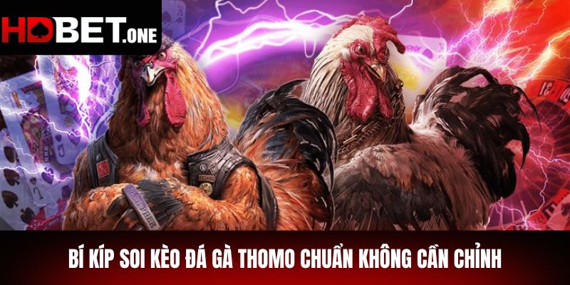 Bí Kíp Soi Kèo Đá Gà Thomo Chuẩn Không Cần Chỉnh