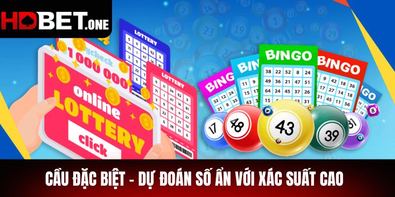 Cầu Đặc Biệt – Dự Đoán Số Ẩn Với Xác Suất Cao