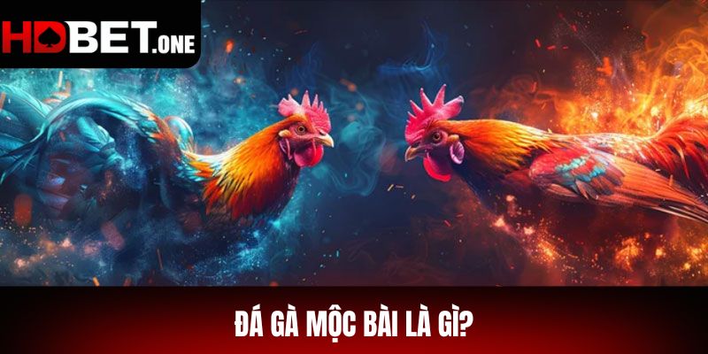 Đá Gà Mộc Bài Là Gì?