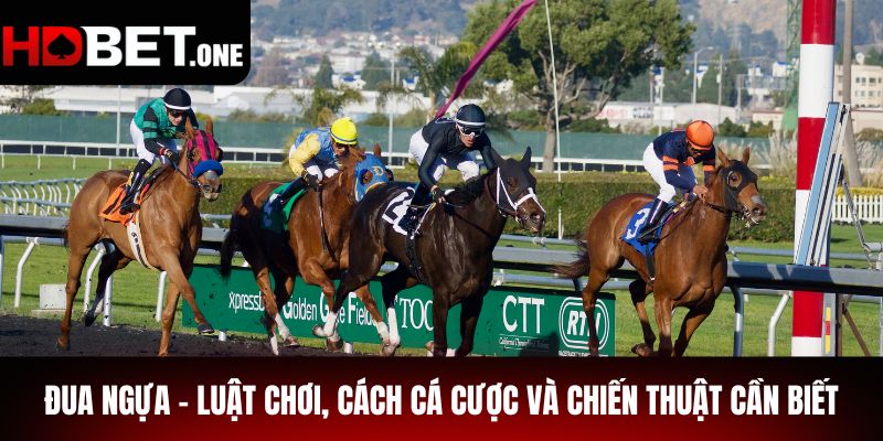 Đua Ngựa – Luật Chơi, Cách Cá Cược Và Chiến Thuật Cần Biết