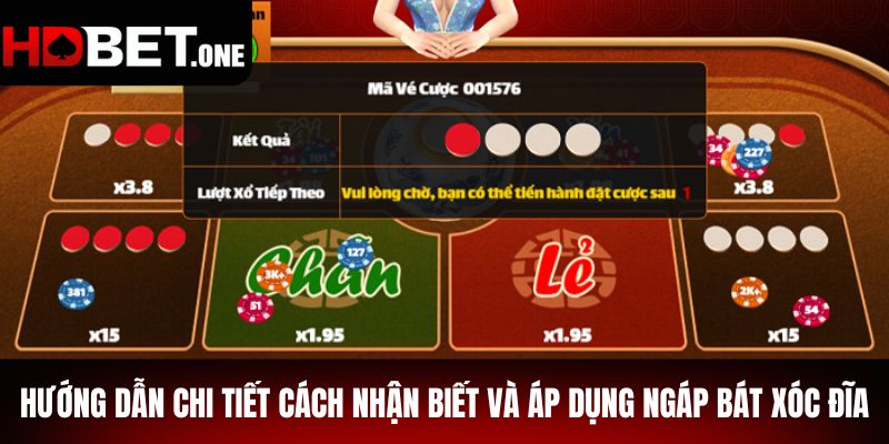 Hướng dẫn chi tiết cách nhận biết và áp dụng Ngáp Bát Xóc Đĩa