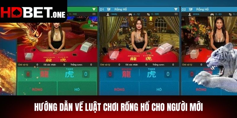 Hướng Dẫn Về Luật Chơi Rồng Hổ Cho Người Mới