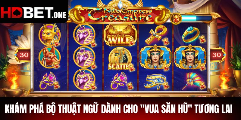 Khám Phá Bộ Thuật Ngữ Khi Chơi Săn Hũ
