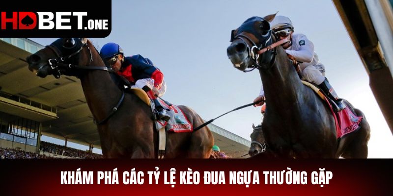 Khám phá các tỷ lệ kèo đua ngựa thường gặp