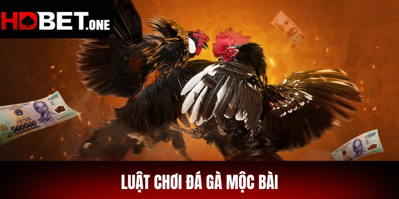 Luật chơi đá gà Mộc Bài
