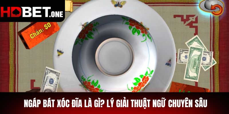 Ngáp Bát Xóc Đĩa là gì? Lý giải thuật ngữ chuyên sâu