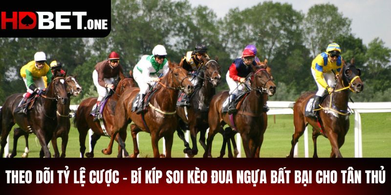 Theo dõi tỷ lệ cược - Bí kíp soi kèo đua ngựa bất bại cho tân thủ