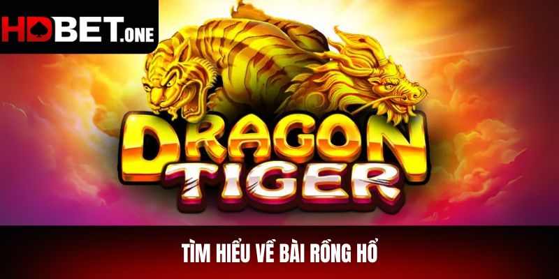 Tìm Hiểu Về Bài Rồng Hổ