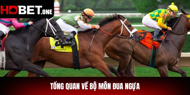 Giới thiệu tổng quan về bộ môn đua ngựa
